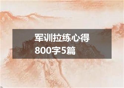 军训拉练心得800字5篇
