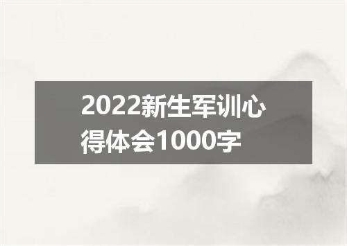 2022新生军训心得体会1000字