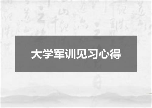 大学军训见习心得