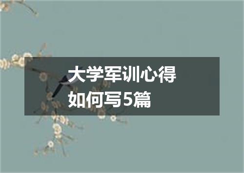 大学军训心得如何写5篇