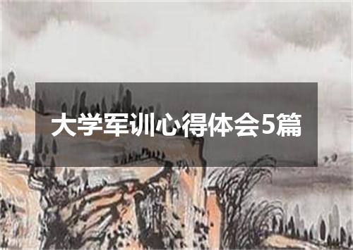 大学军训心得体会5篇