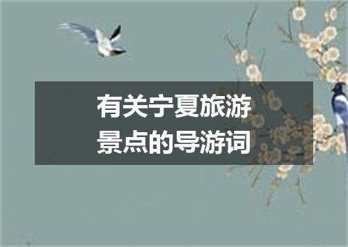 有关宁夏旅游景点的导游词