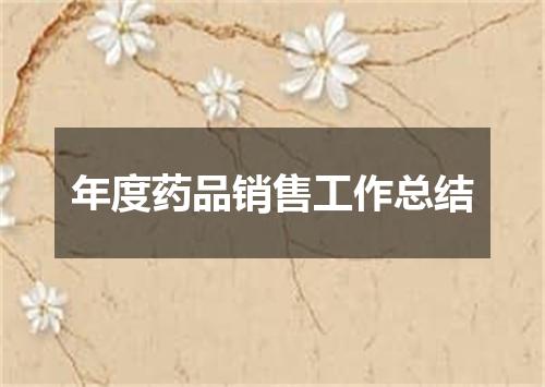 年度药品销售工作总结