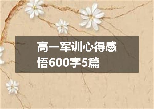 高一军训心得感悟600字5篇