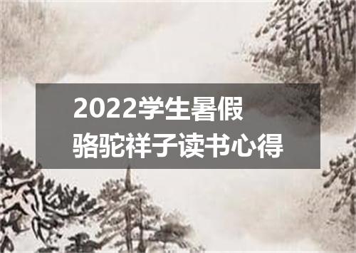 2022学生暑假骆驼祥子读书心得