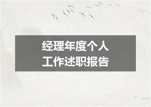 经理年度个人工作述职报告