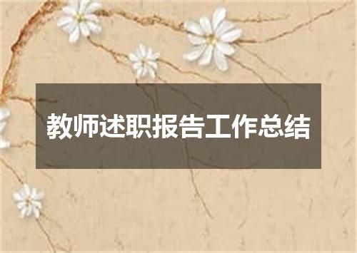 教师述职报告工作总结