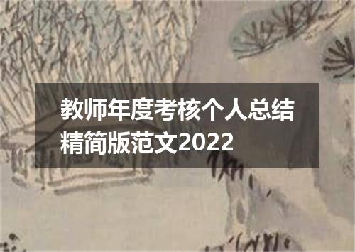 教师年度考核个人总结精简版范文2022