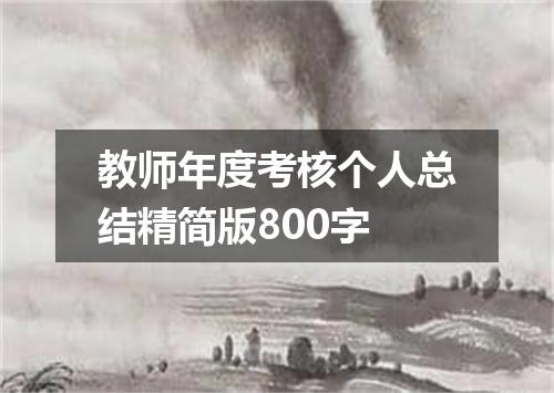 教师年度考核个人总结精简版800字