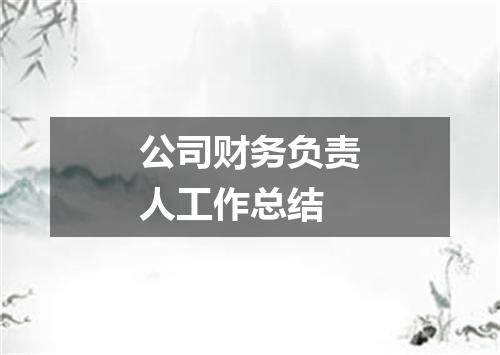 公司财务负责人工作总结