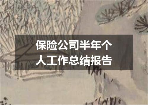 保险公司半年个人工作总结报告