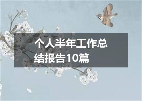 个人半年工作总结报告10篇