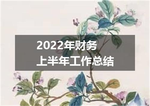 2022年财务上半年工作总结
