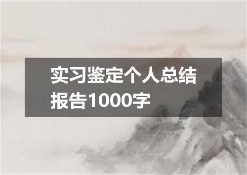 实习鉴定个人总结报告1000字