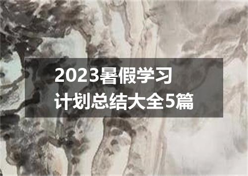 2023暑假学习计划总结大全5篇