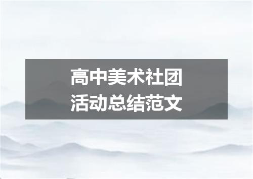 高中美术社团活动总结范文