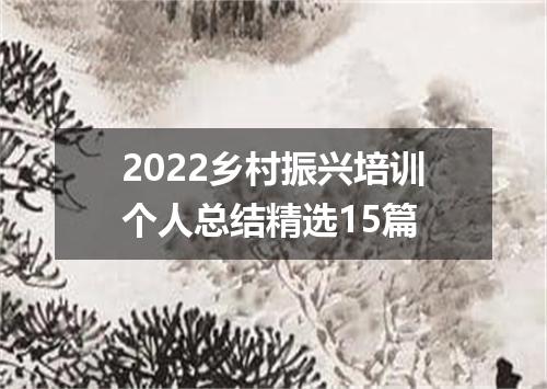 2022乡村振兴培训个人总结精选15篇