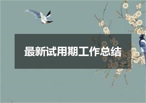 最新试用期工作总结