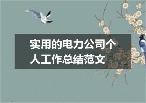 实用的电力公司个人工作总结范文