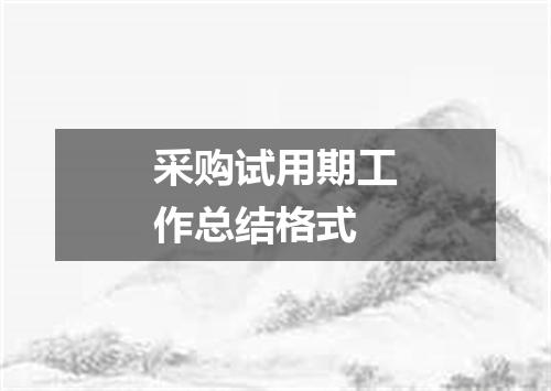 采购试用期工作总结格式