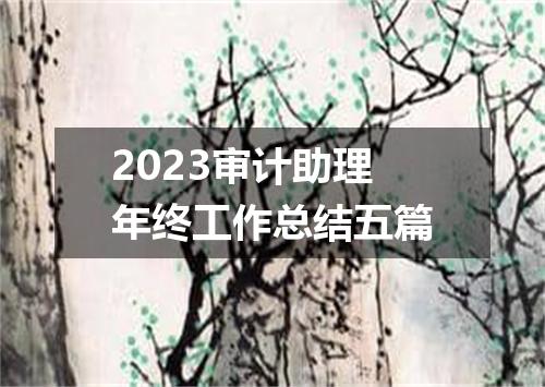 2023审计助理年终工作总结五篇