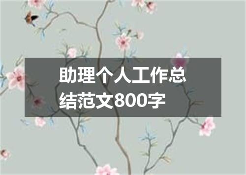 助理个人工作总结范文800字