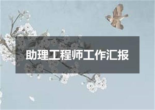 助理工程师工作汇报