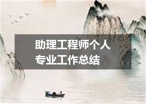 助理工程师个人专业工作总结