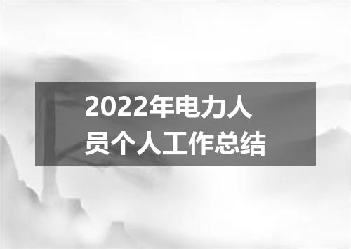 2022年电力人员个人工作总结