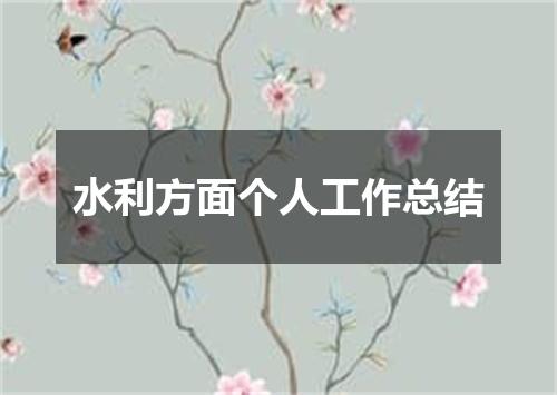 水利方面个人工作总结