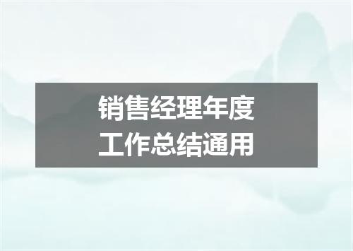 销售经理年度工作总结通用