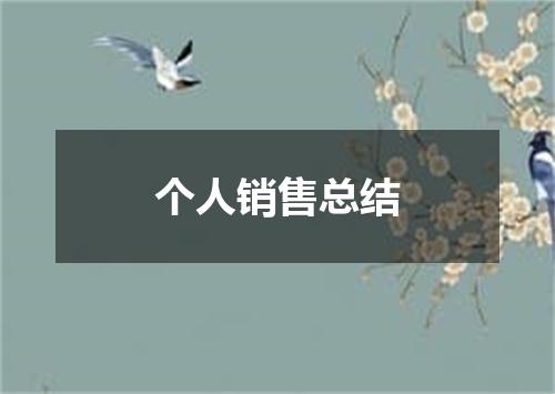 个人销售总结