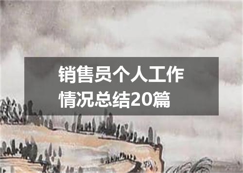 销售员个人工作情况总结20篇
