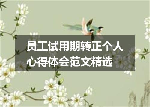 员工试用期转正个人心得体会范文精选