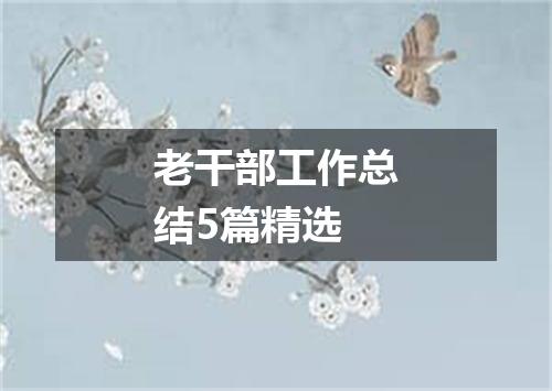 老干部工作总结5篇精选