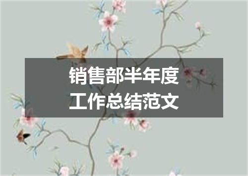 销售部半年度工作总结范文