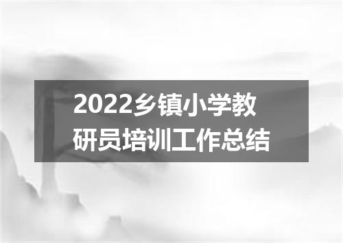 2022乡镇小学教研员培训工作总结