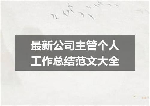 最新公司主管个人工作总结范文大全