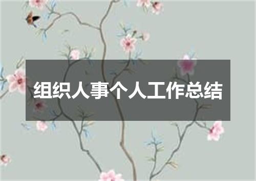 组织人事个人工作总结