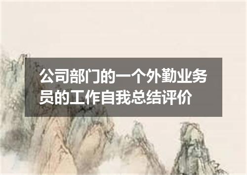 公司部门的一个外勤业务员的工作自我总结评价