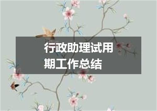 行政助理试用期工作总结