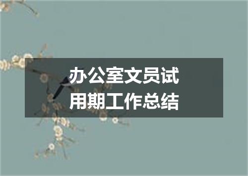 办公室文员试用期工作总结