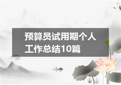 预算员试用期个人工作总结10篇