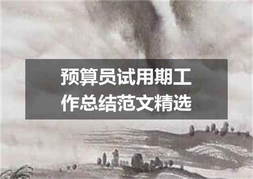 预算员试用期工作总结范文精选