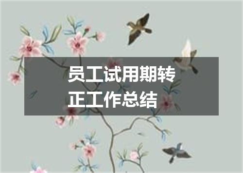 员工试用期转正工作总结