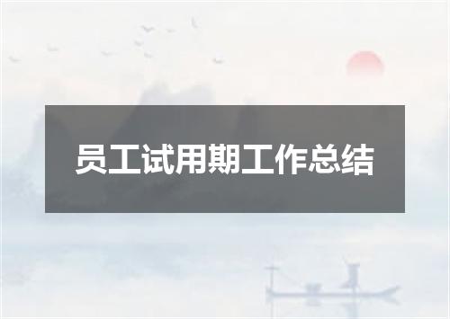 员工试用期工作总结