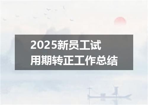 2025新员工试用期转正工作总结