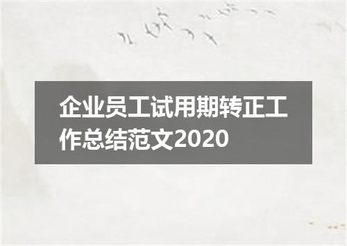 企业员工试用期转正工作总结范文2020