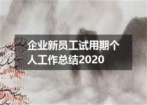 企业新员工试用期个人工作总结2020