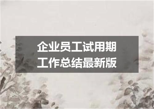 企业员工试用期工作总结最新版